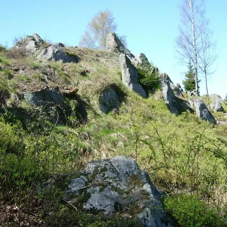 On A Farm Near The Area * Neukirchen beim Heiligen Blut